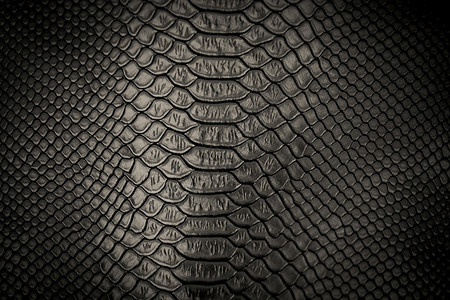 抽象的打印黑蛇皮图案纹理背景濒危图片