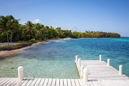 菲律宾异国情调美丽的加勒比人像有椰子棕榈和海太阳的岛屿美丽热带岛有椰子棕榈和海景观图片