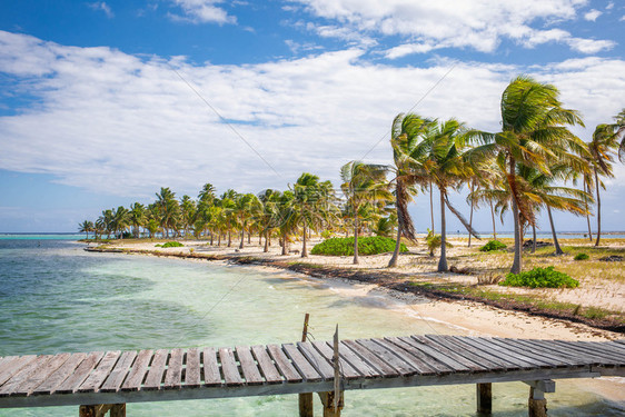 夏天美丽的加勒比人像有椰子棕榈和海太阳的岛屿美丽热带岛有椰子棕榈和海天堂假期图片