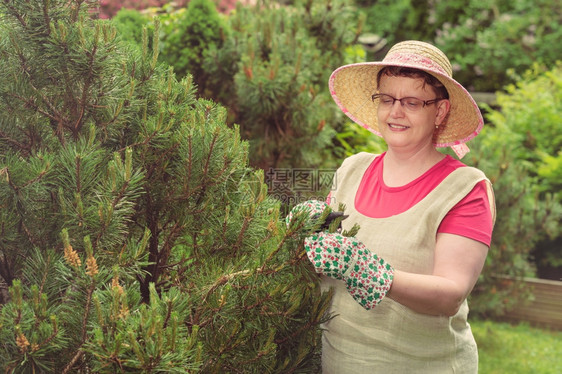 农业成熟的女在花园里使用剪刀交叉处理图像微笑天图片