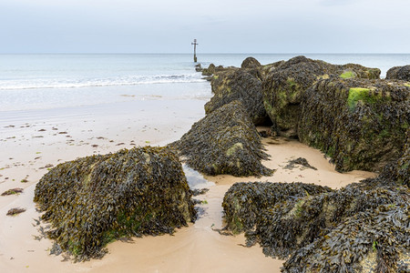 悬崖在英国诺福克Norfolk英国海岸观点旅行冠状图片