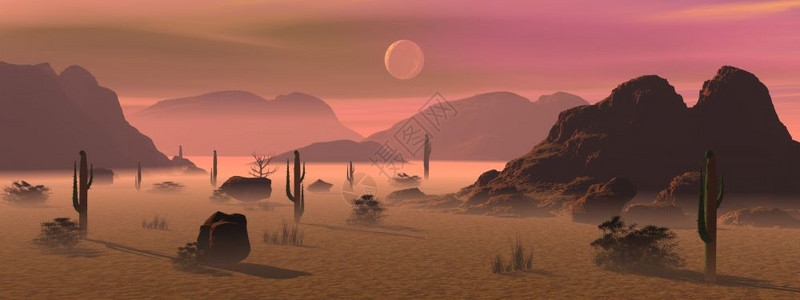 夜晚月光叶子以亮雾仙人掌植物和山丘为照亮的晨光沙漠景观在中清晨3D转化图片