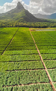 热带燃料毛里求斯雷姆巴山美丽的景色空中全观光土地图片