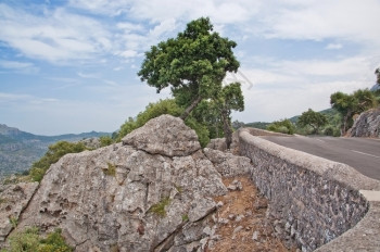 天西班牙巴利阿里群岛Mallorca山地路岩石和绿色森林景西班牙Balearic岛Mallorca马略卡岛户外图片