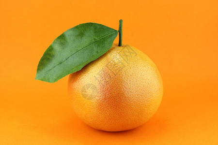 以橙色背景的叶子撕开胃葡萄汁自然吃柚图片