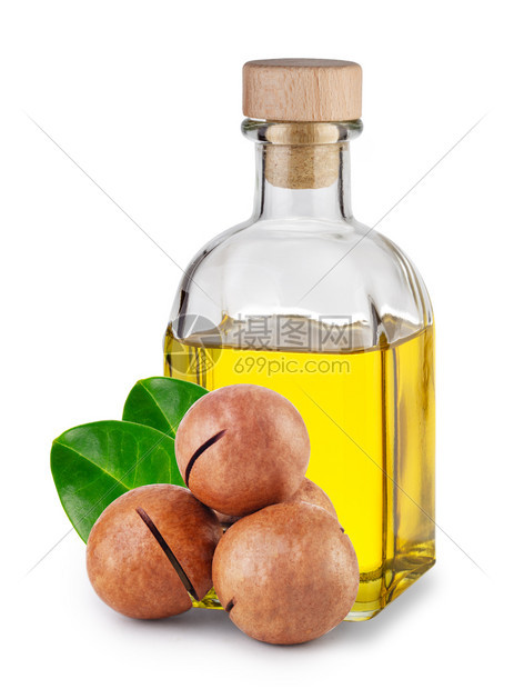 棕色的去皮榛麦卡达米亚油装在瓶子里有软木和坚果叶子与隔绝白底的麦卡达米亚油装在瓶中图片