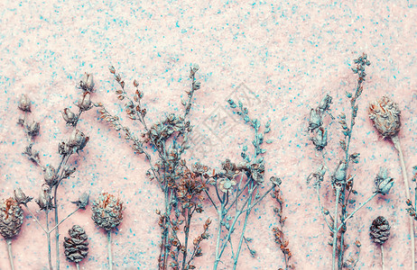 花岗岩水平的束淡粉红石本底花朵的干燥选择焦点糊面花本底图片