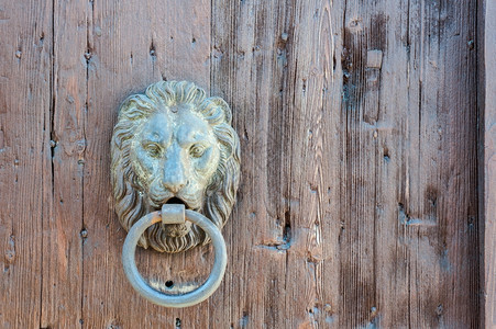 艺术以狮子头形状的敲门窗处理老的图片