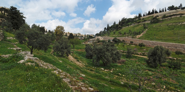 耶路撒冷旧城附近的GehennaHinnom山谷绿色牺牲东方图片
