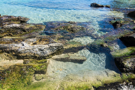 波光粼粼的海和海草图片