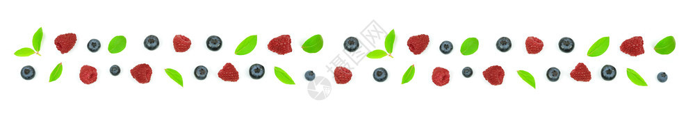 以蓝莓树叶和草为首的森林水果长型装饰品绿色一种甜点图片