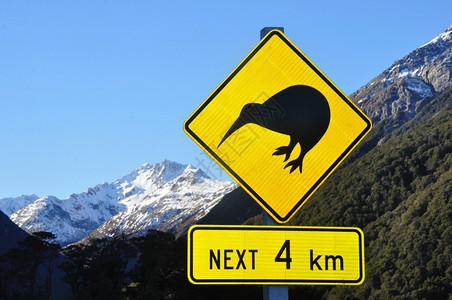 交通新西兰南岛ArthursPass附近kiwis的公路标志警告牌野生动物图片