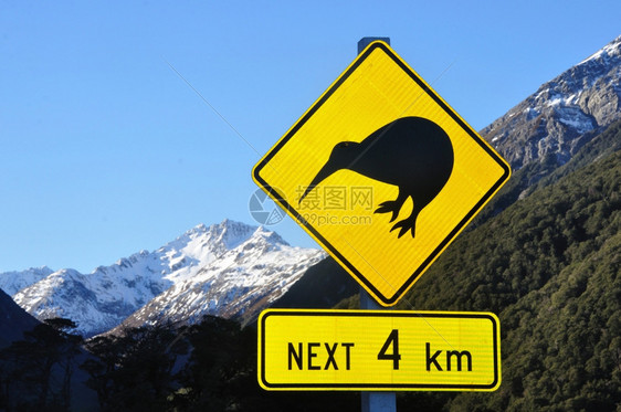 交通新西兰南岛ArthursPass附近kiwis的公路标志警告牌野生动物图片