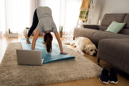 击一名妇女与她的狗在家锻炼合身女练习图片