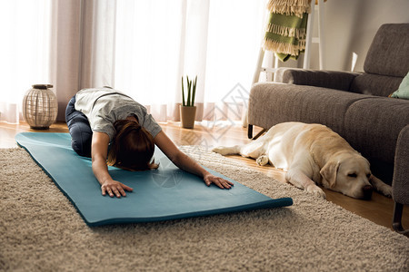 运动服击一名妇女与她的狗在家锻炼积极的笔记本电脑图片