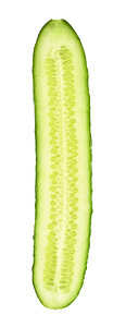 照片绿色半长黄瓜在白背景上被孤立垂直的图片