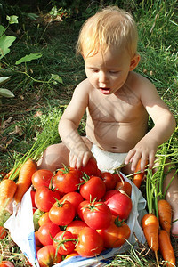 婴儿吃成熟的西红柿除了大量的番茄和胡萝卜丰富多彩的夏天屈服图片