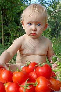 屈服婴儿吃成熟的西红柿婴儿吃成熟的西红柿除了大量的番茄和胡萝卜植物黄瓜图片