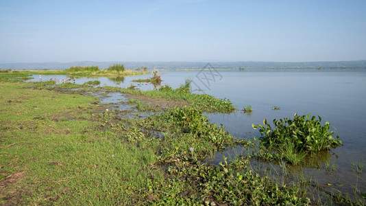 旅行河户外乌干达MurchisonFalls公园景观图片