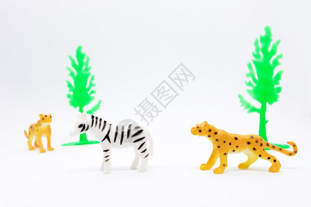 美丽的血液在白色背景动物玩具塑料上孤立的豹和斑马模型打猎图片