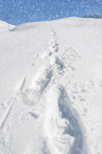 冬季雪地图片