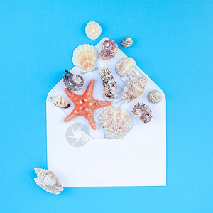 桌子有创造力的海底蓝背景壳和星的顶层视图明信片以最起码的风格文本模板拟并复制空间一海贝壳和星在绿蓝背景上观看海雀和星用明信片制作图片