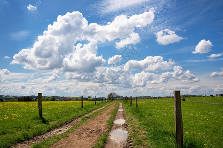远足德国伯吉斯州BergischesLand春季带云和蓝天空的漫步穿过草地原甸蓝色的图片