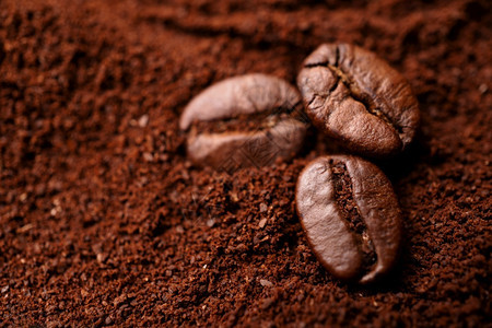 阿拉比卡咖啡因将三个豆关闭在混合堆装的烤咖啡和文本复制空间之咖啡新鲜度概念咖啡新鲜度概念种子图片
