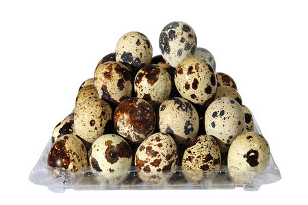 食物贝壳蛋白质在色背景上包装的蛋孤立图片