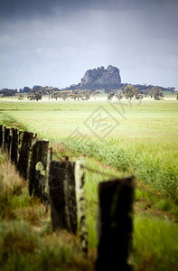站立密特罗克独自站在一个有旧围栏的田地后面山农业图片