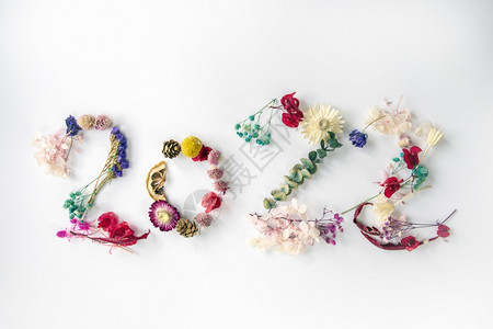 艺术紫色信20编号由五颜六色的新鲜春季植物花朵和叶子制成新年快乐概念在白色背景下被隔离20创意背景卡片设计顶视图创意背景卡片设计图片