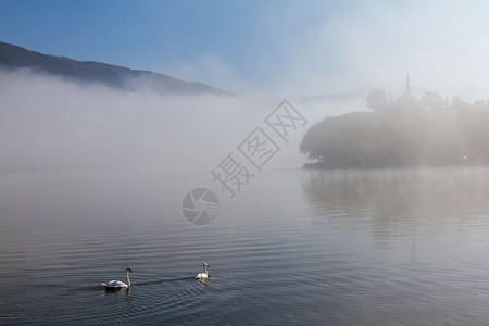 伊庇鲁斯多雾路段潘伏蒂斯湖上的天鹅大气场景在希腊爱奥安纳一个雾的早晨AslanPasha清真寺为背景阿斯兰图片