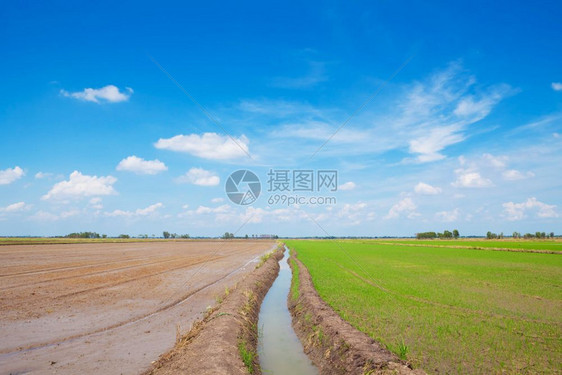 夏季绿地和蓝天空气户外自然图片