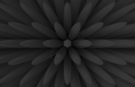 3d使盛开花形朵的现代深极外形几何条成墙壁背景黑暗的花色图片
