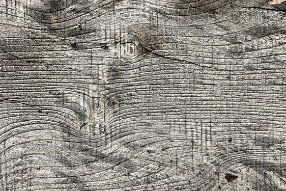 木材单板榆质地旧Ulmusprocera老的图片