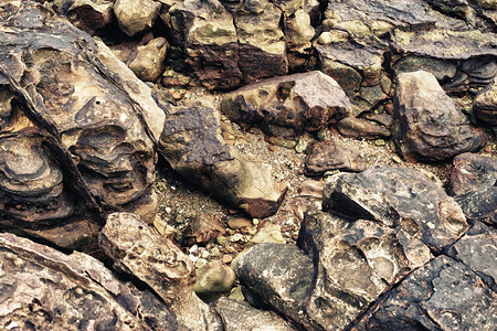 山细节泰国岸边岩石的质地关闭户外图片