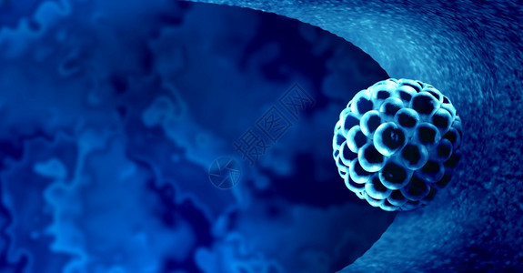 图像贾皮在子宫内植入活细胞作为一种受精医学概念作为人体生殖中的植入细胞分划图标在3D插中代表解剖生育成功率的符号3D插图合子女图片