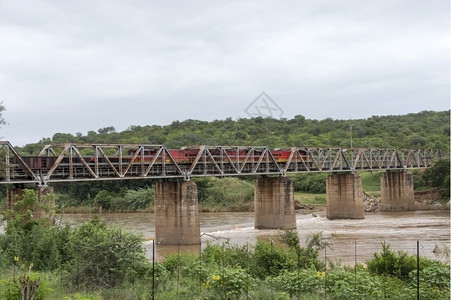 高架桥非洲南部大象河上横跨桥的火车靠近棕榈树水平的高图片