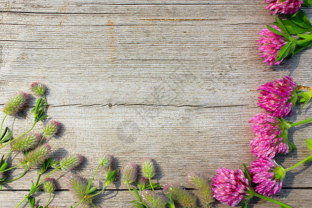 木质装饰型水上带有花朵的制装饰型水上含有花朵的多装饰型水蚤木板表面则含有花朵的木头和草地花朵装饰墙纸三叶草图片