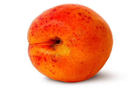 维他命目的新鲜在白色背景上孤立旋转的焦汁杏子图片