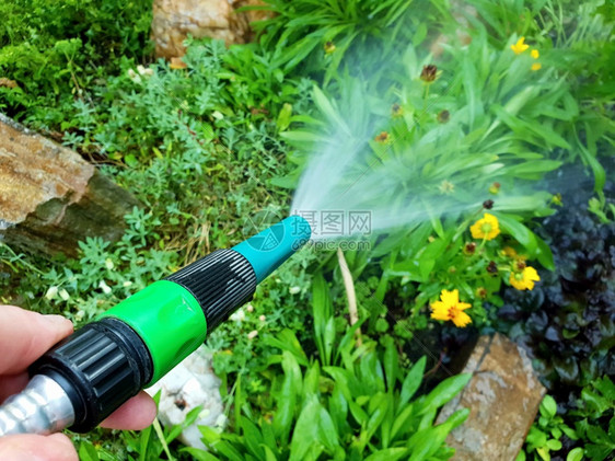 洒水器在花床上喷洒水浇灌花园的塑料管关闭软溅起图片