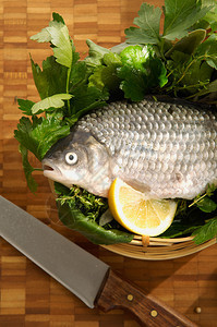 动物木板上的新克鲁西安白鱼色的图片