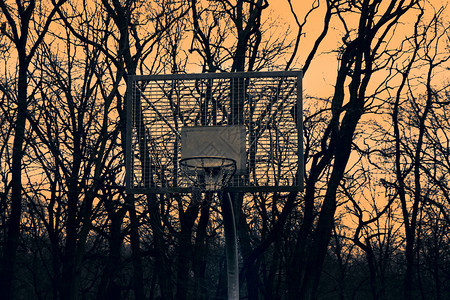 日落和树木背景的篮球板图片