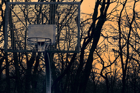 日落和树木背景的篮球板背景图片