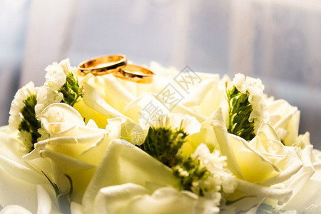 白玫瑰花上的婚戒白玫瑰花上的婚戒金子奢华庆典图片