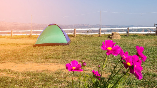 旅行太阳户外山区最高点草坪上的旅游帐篷营在山顶最高峰的草坪上图片
