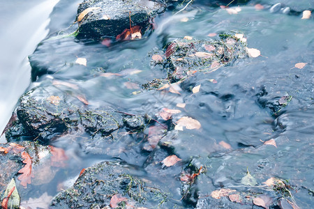 河流中水滴的详细分布图一河中的溪流环境结石新鲜的图片