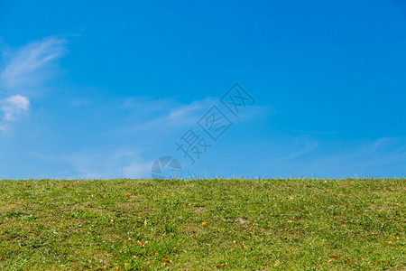 草阳光休息绿色风景与天空以放松图片