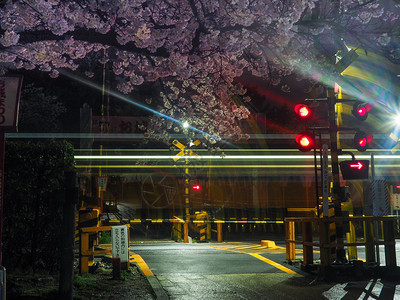 日本郡山2017年4月7日火车通过与开花樱交叉口的长时间曝光火车通过与开花樱交叉口的长时间曝光漂亮的亚洲街道图片