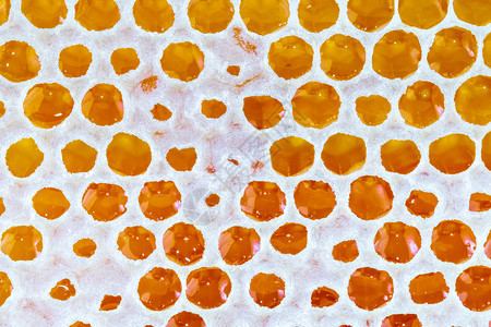 流动营养纯度金蜂降蜜背景纹理图片